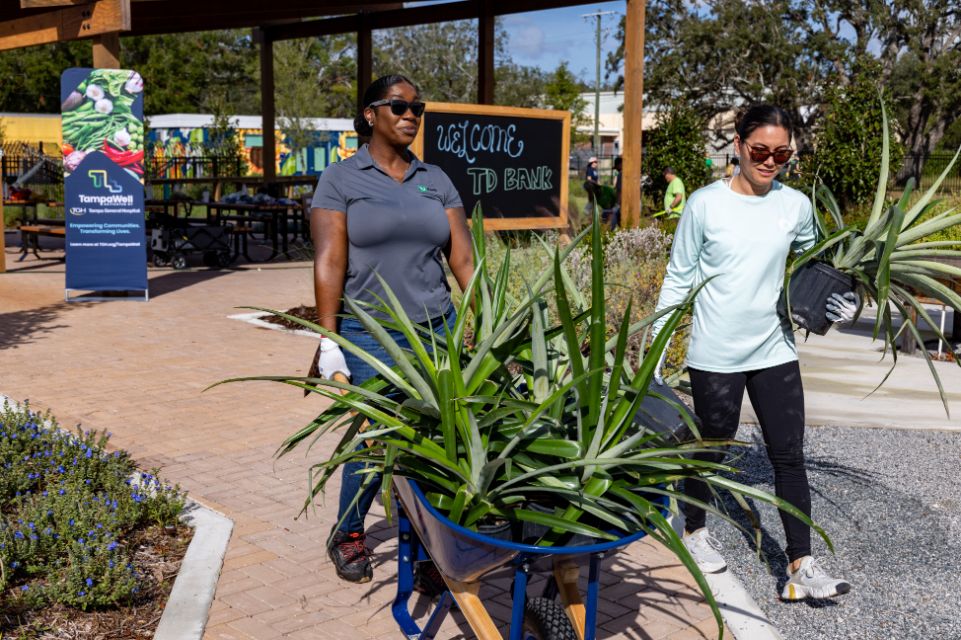 TGH received a grant from TD Bank to plant new trees and shrubs at TGH Healthpark as part of an effort to expand green spaces in underprivileged neighborhoods.