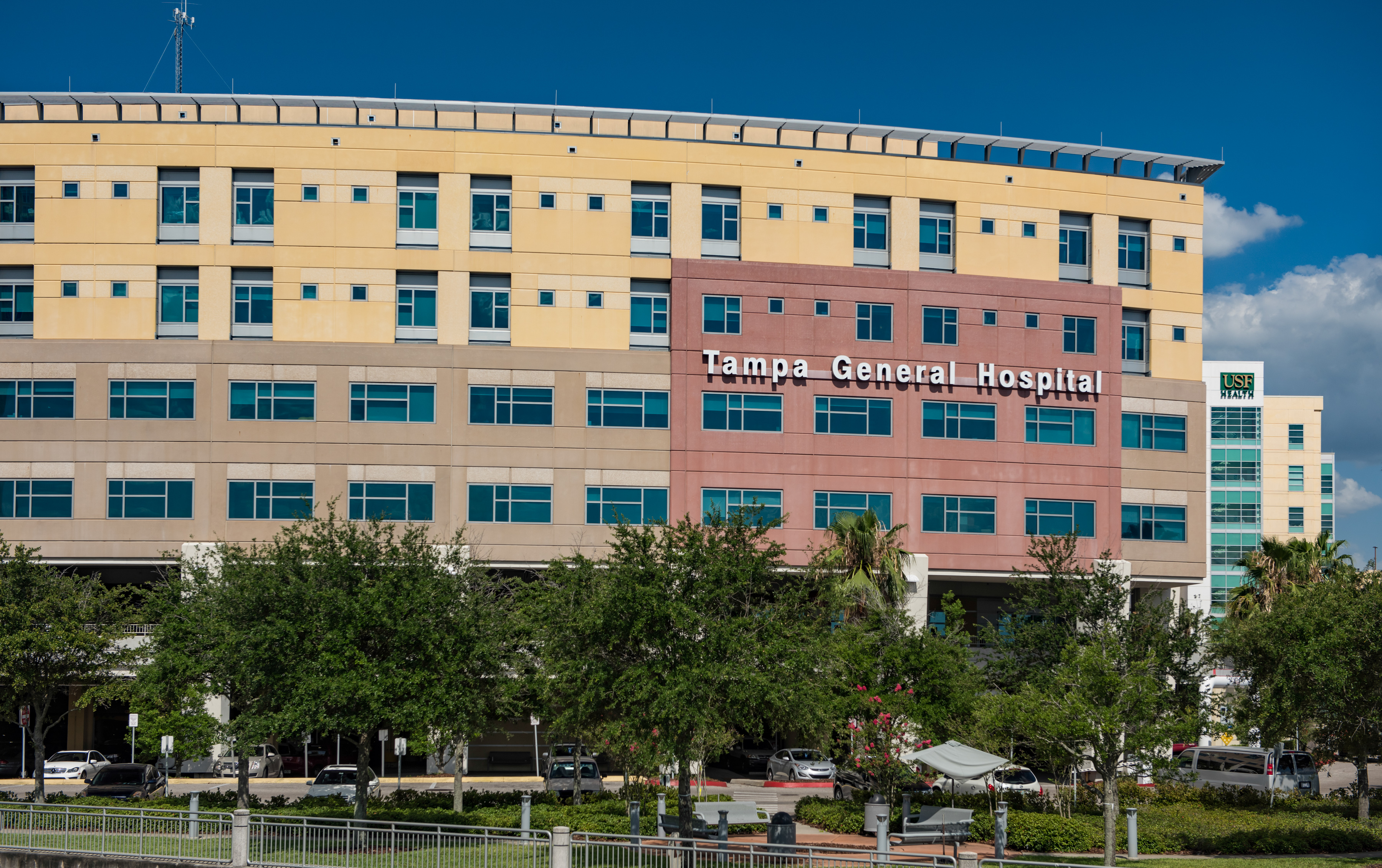 tampa community hospital jobs