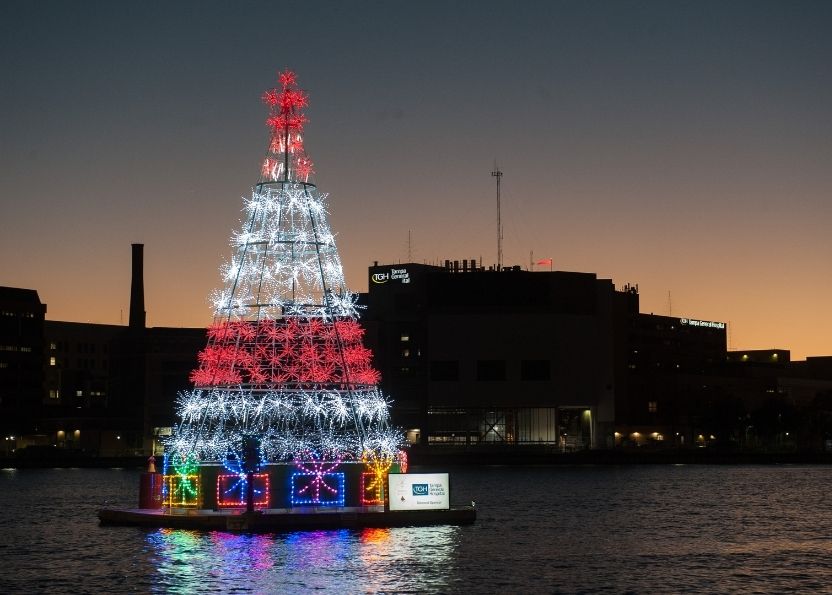 Holiday tree outside of Tampa General Hospital