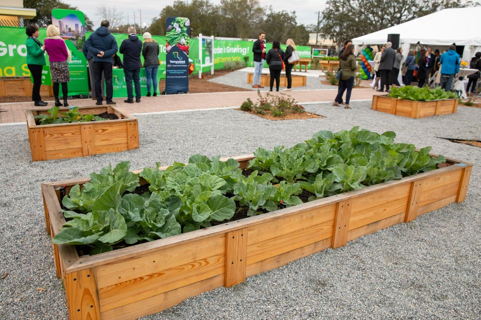 TampaWell Community Garden and Food Pharmacy open