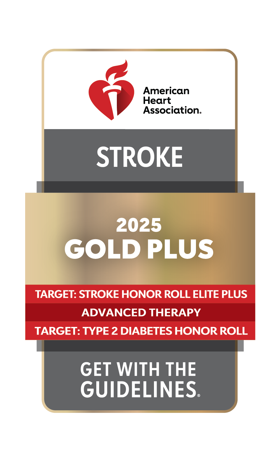 Get With the Guidelines AHA Stroke Award
