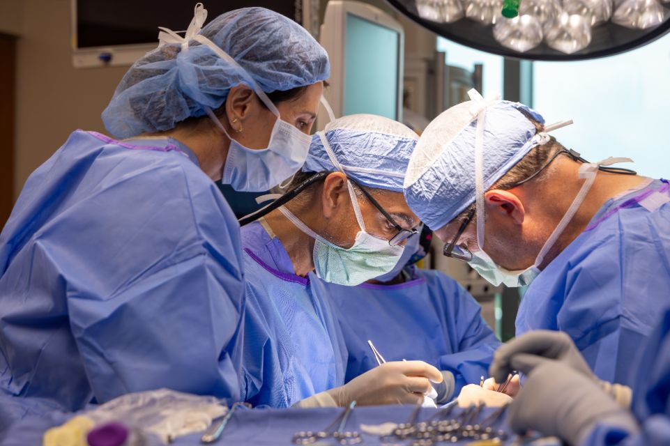 Surgeon From Spain Visits Parathyroid Institute