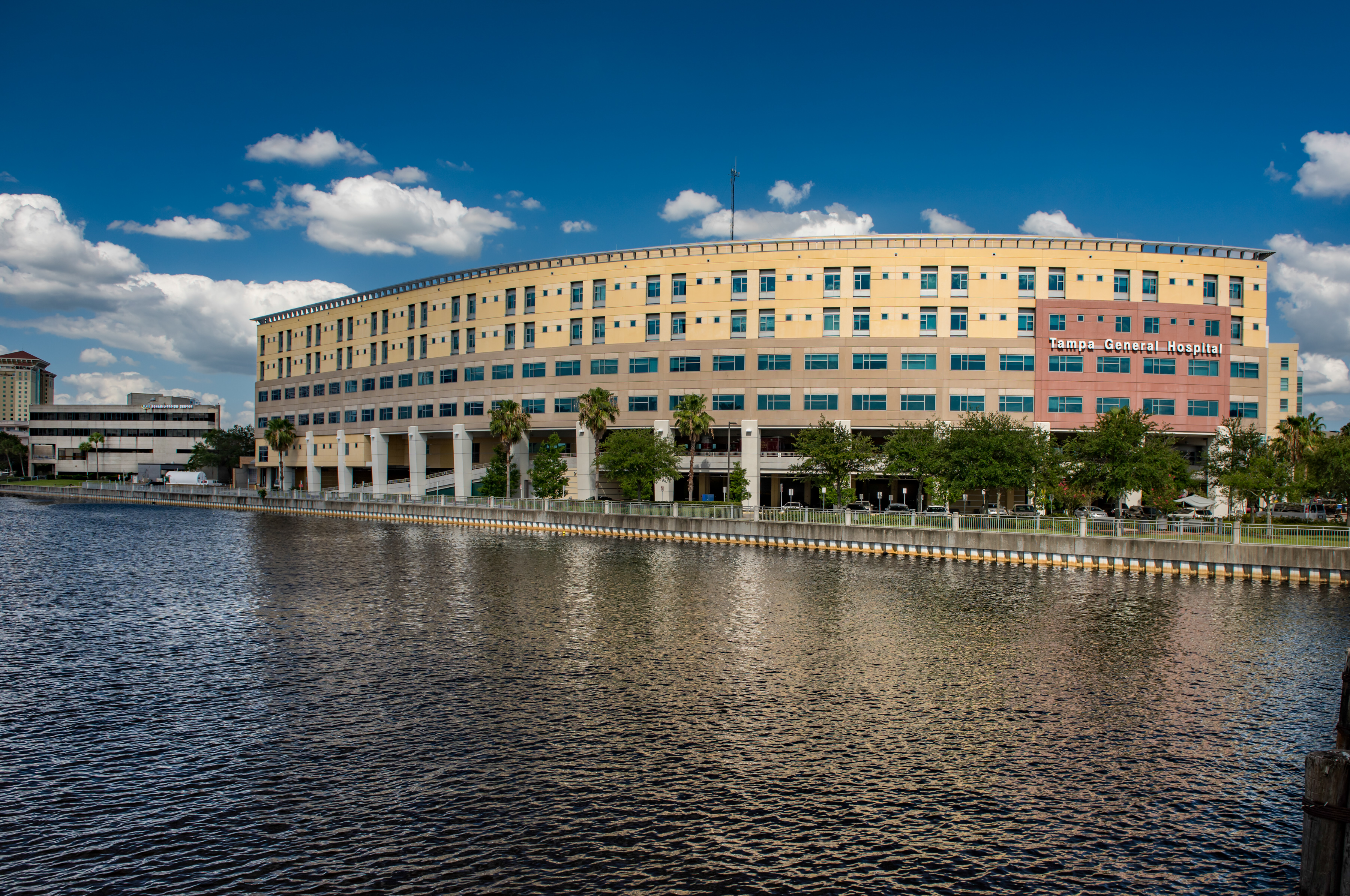 TGH looking over Tampa Bay