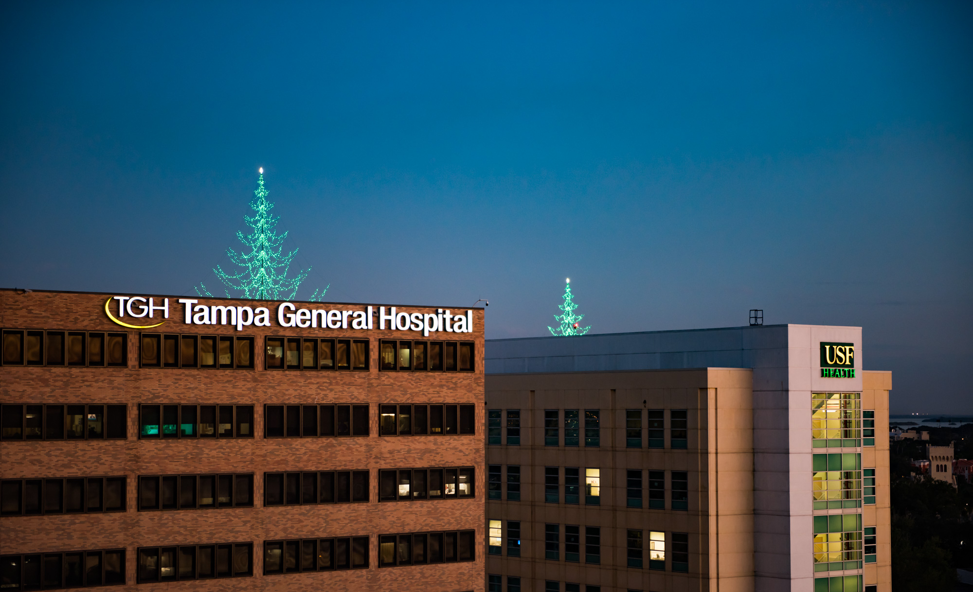 Light up tree above Tampa General Hospital
