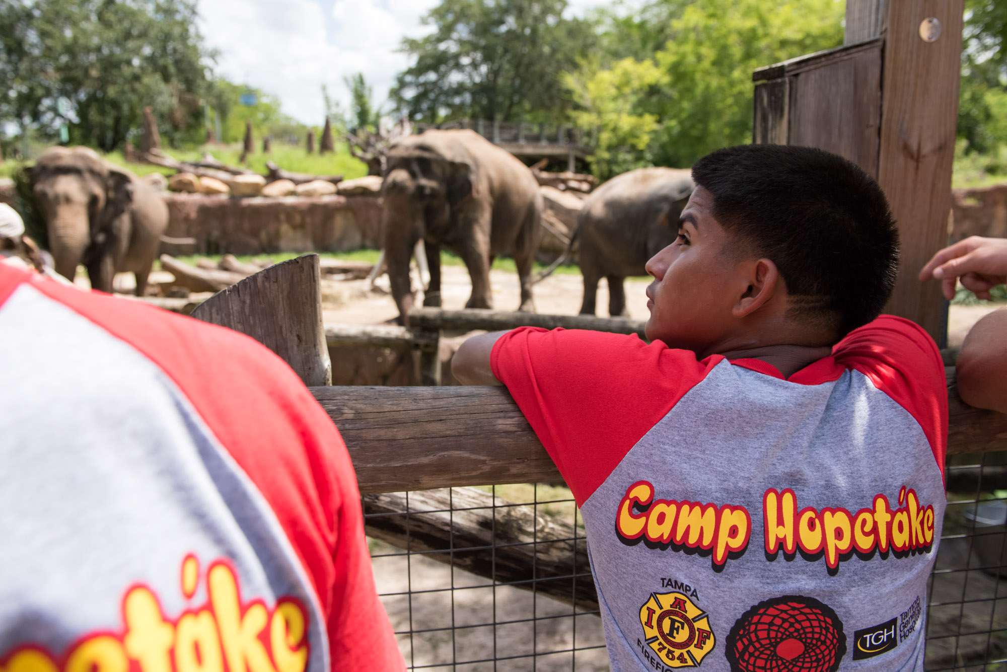 Group of boys looking at the elephants at Busch Gardens with Camp Hopetake