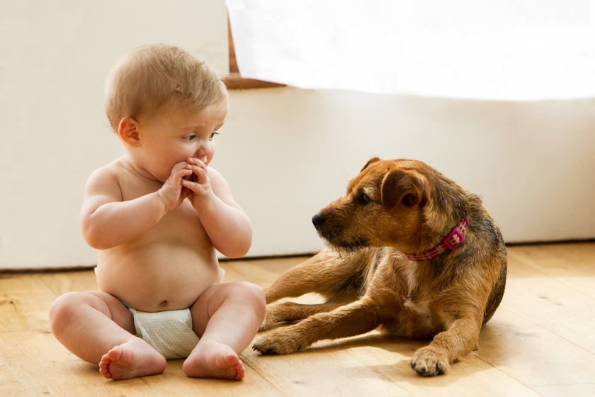 baby_with_puppy1