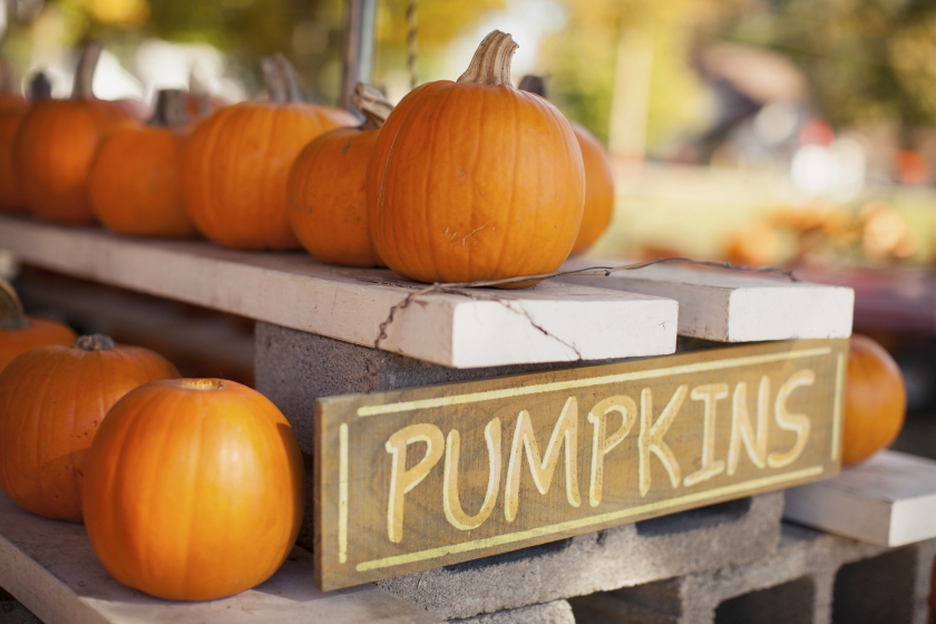 pumpkins