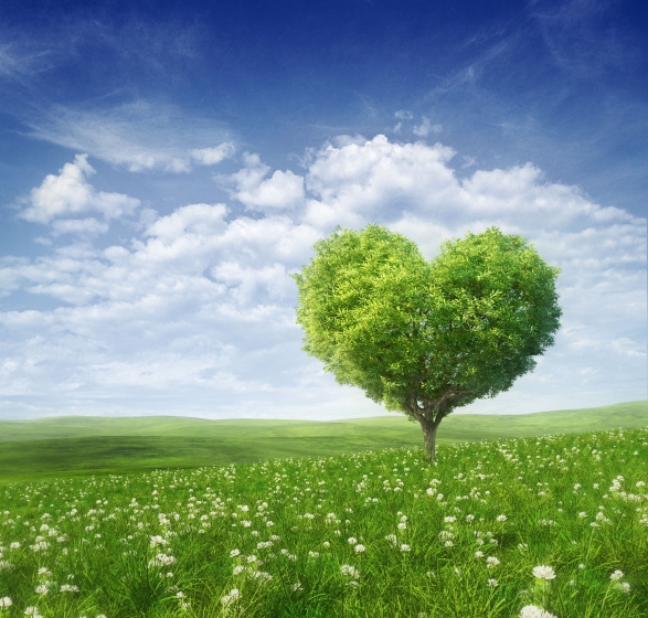 shutterstock_124342840-heart_tree
