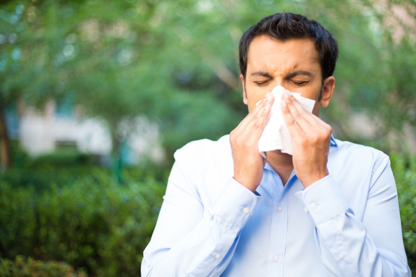 sneezing_allergies