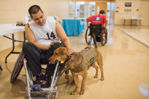 Man in wheelchari with service dog
