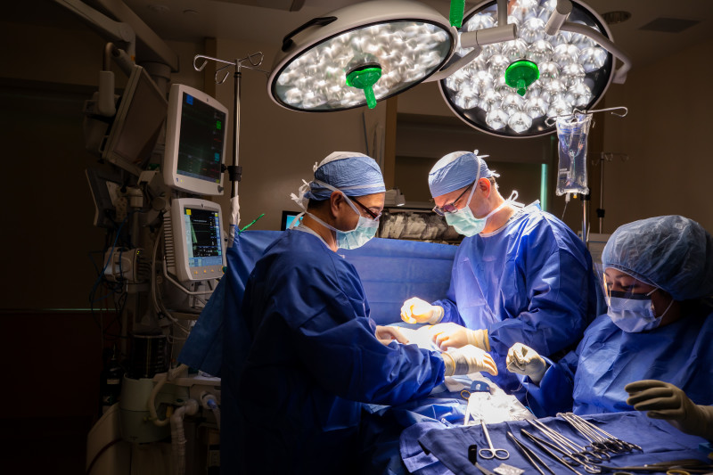 Parathyroid surgeons in the operating room