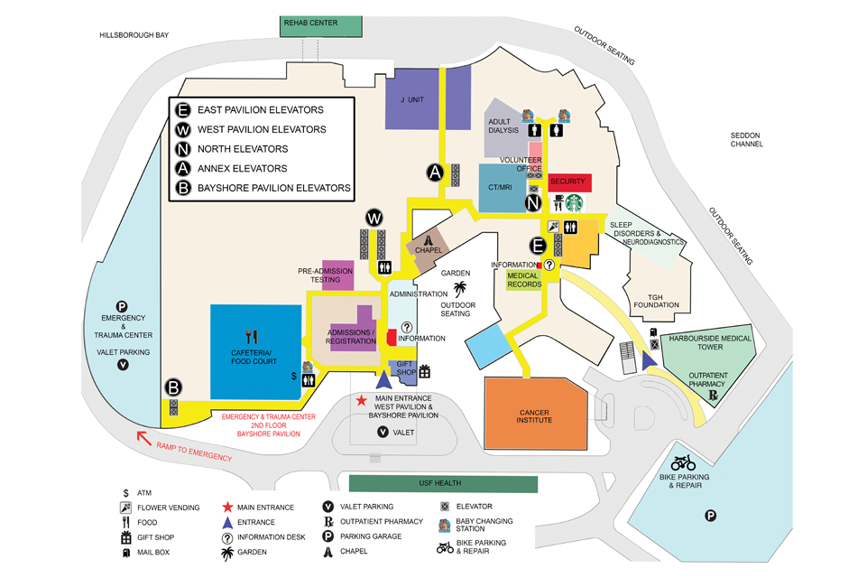TGH Davis Islands first‑floor map with labeled routes to admissions, cafeteria, outpatient care, elevators, and major departments.