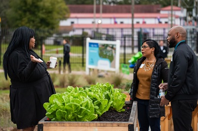 TampaWell Food Community Garden image with produce